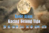 Kode Alam Kucing Belang Tiga