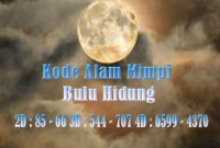 Kode Alam Mimpi Bulu Hidung