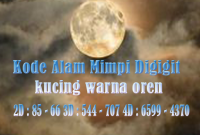 Kode Alam Mimpi Digigit kucing warna oren