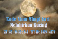 Kode Alam Mimpi Istri Melahirkan Kucing