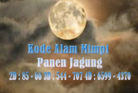 Kode Alam Mimpi Panen Jagung